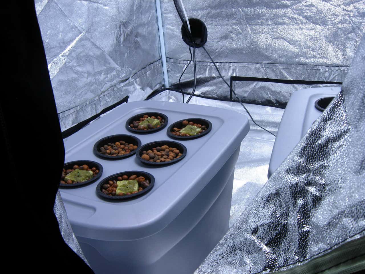 8 Best Grow Tents For Growing Marijuana Review